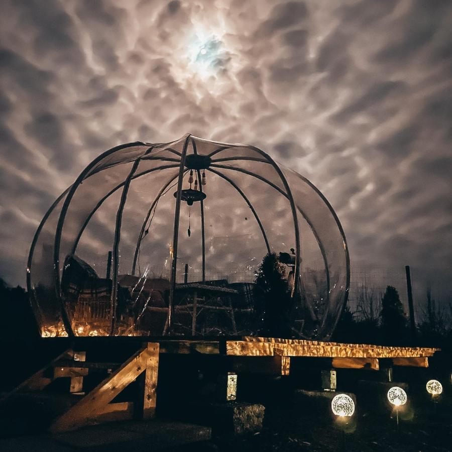The Wooden Nest -Covasna Villa Luaran gambar