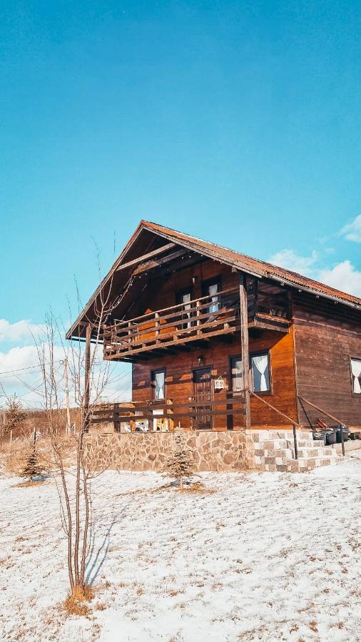 The Wooden Nest -Covasna Villa Luaran gambar