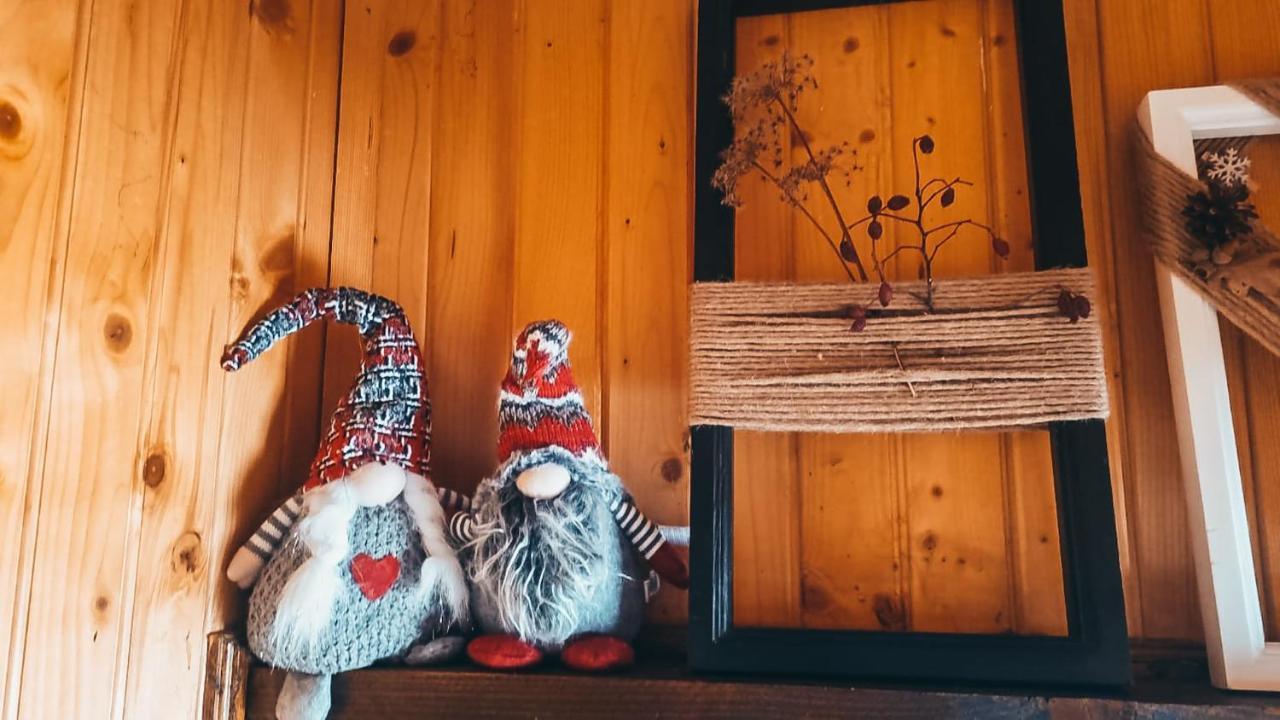 The Wooden Nest -Covasna Villa Luaran gambar